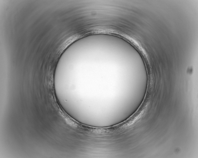 X0000093610897200711121209