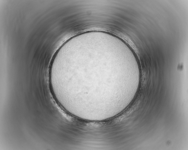 X0000093610898200711121209