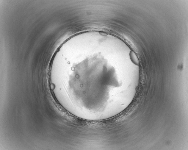 X0000093610899200711121209