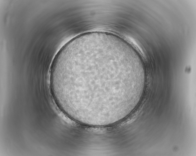 X0000093610900200711121209