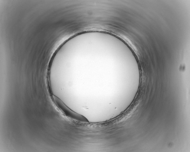 X0000093610901200711121209