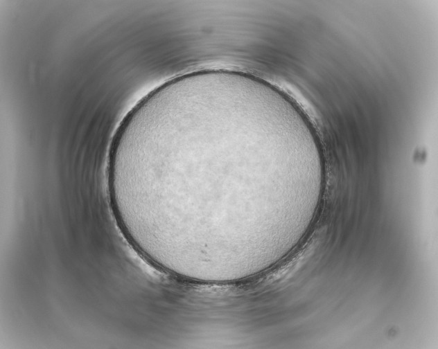 X0000093610902200711121209