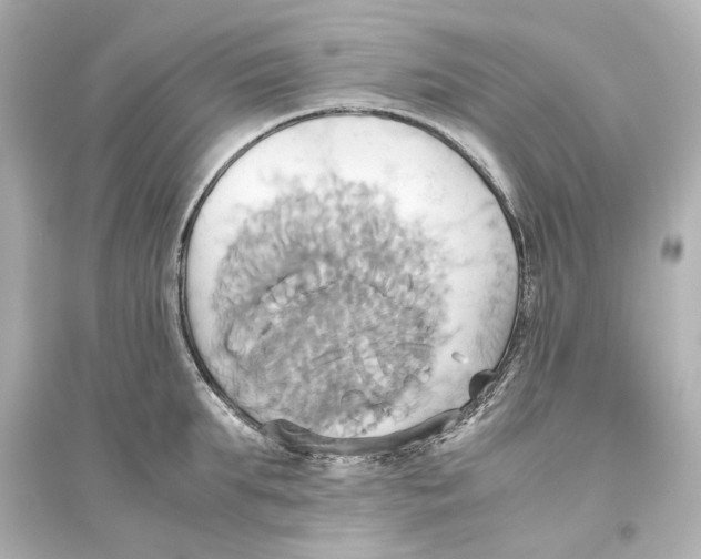 X0000093610903200711121209