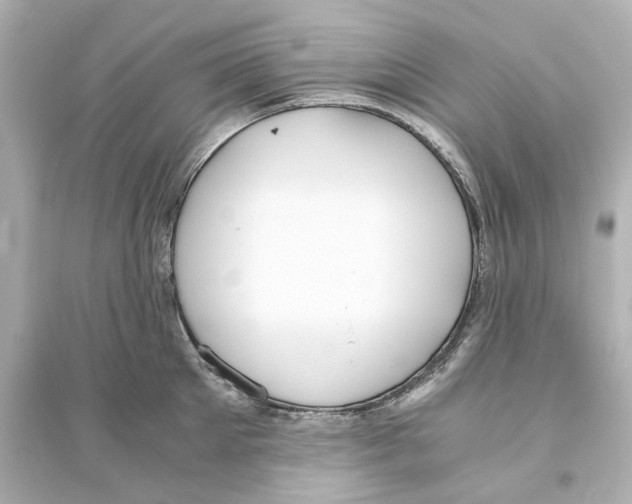 X0000093610905200711121209