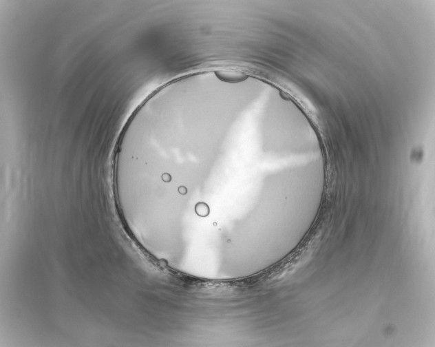 X0000093610907200711121209
