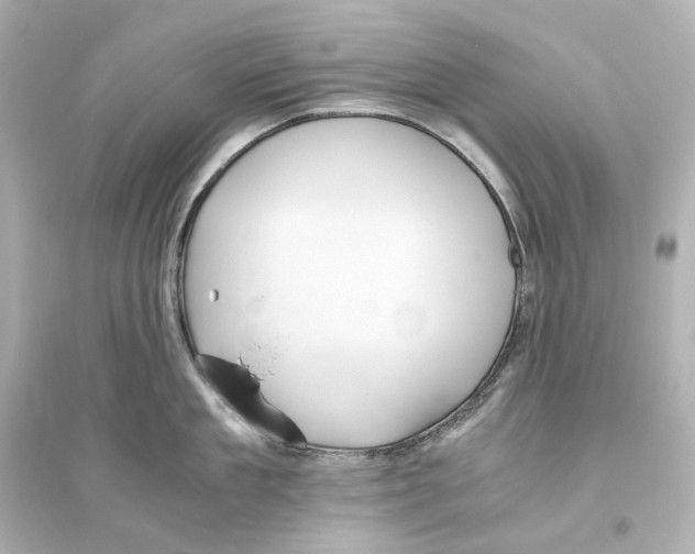 X0000093610909200711121209
