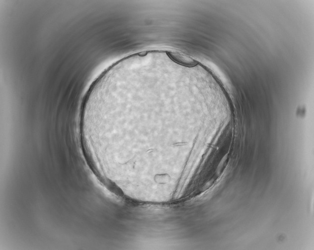 X0000093610910200711121209