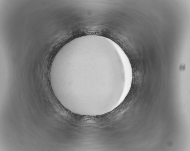 X0000093610913200711121208