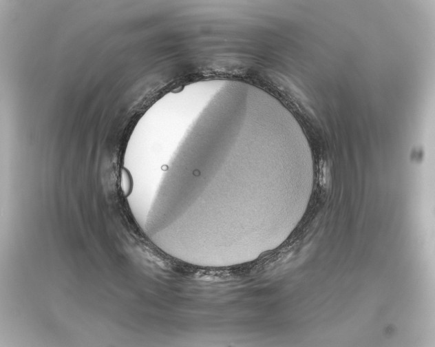 X0000093610915200711121208