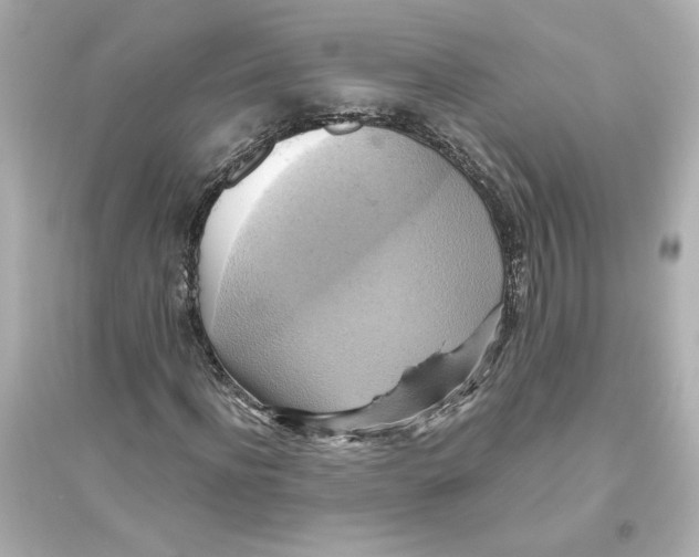 X0000093610916200711121208