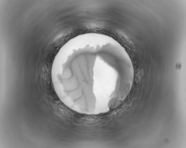 X0000093610917200711121208