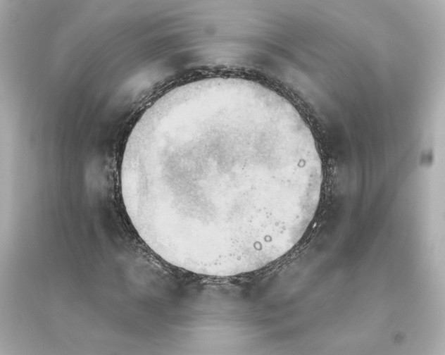 X0000093610918200711121208