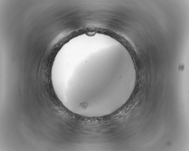 X0000093610919200711121208