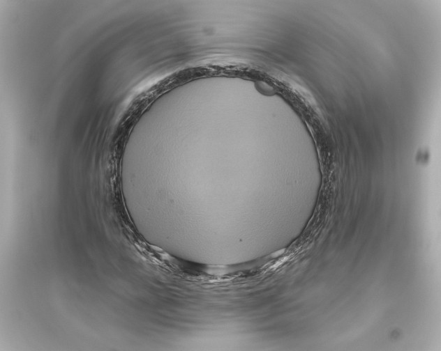 X0000093610920200711121208