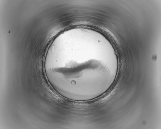 X0000093610921200711121208