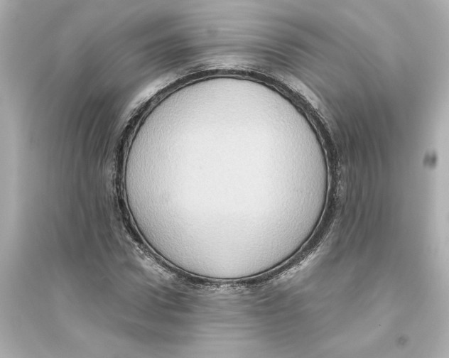 X0000093610922200711121208