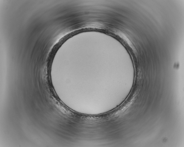 X0000093610923200711121208