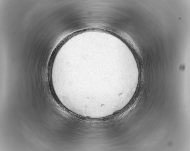 X0000093610924200711121208
