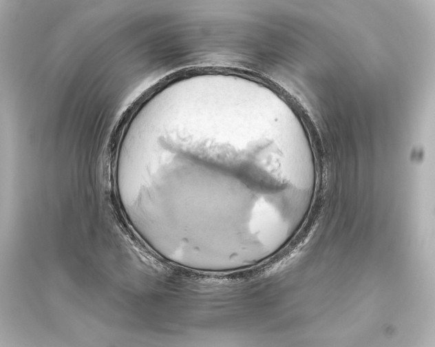 X0000093610925200711121208