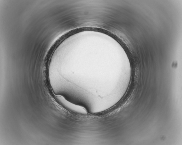 X0000093610926200711121208