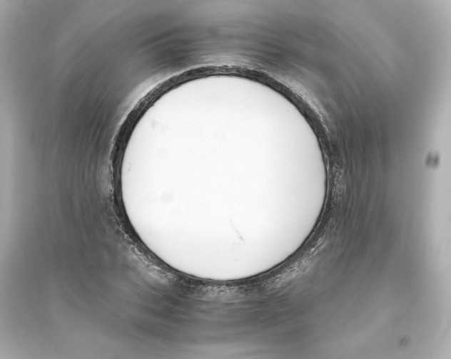X0000093610927200711121208