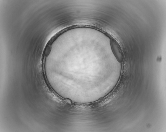 X0000093610928200711121208