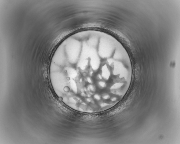 X0000093610929200711121208