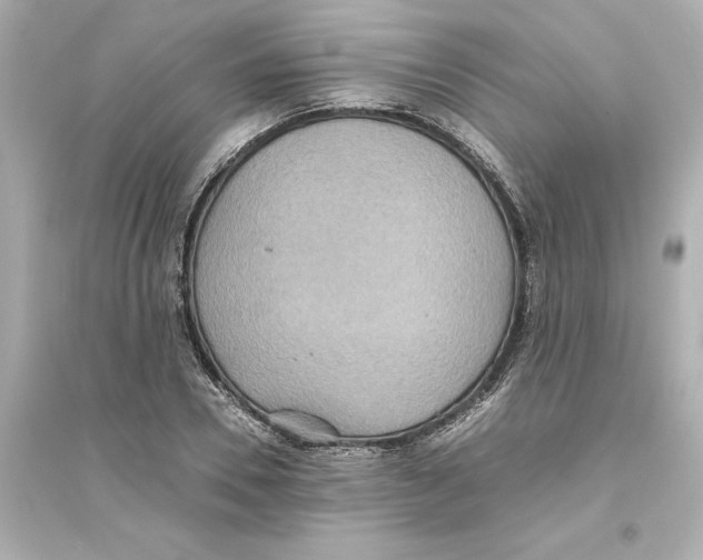 X0000093610930200711121208