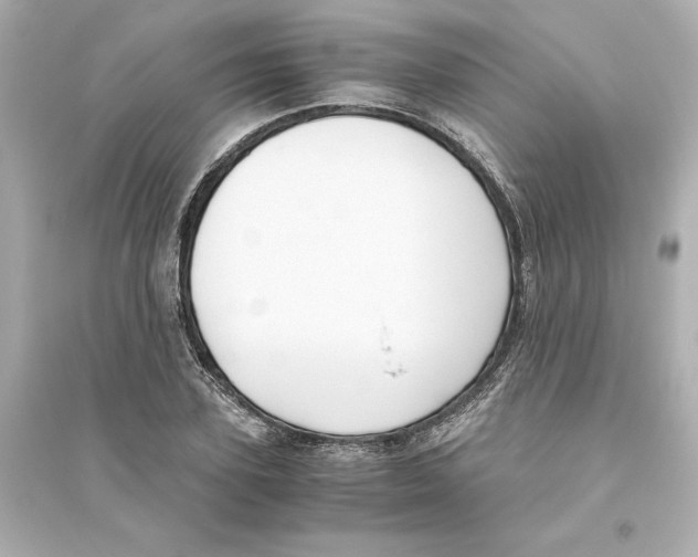 X0000093610931200711121208
