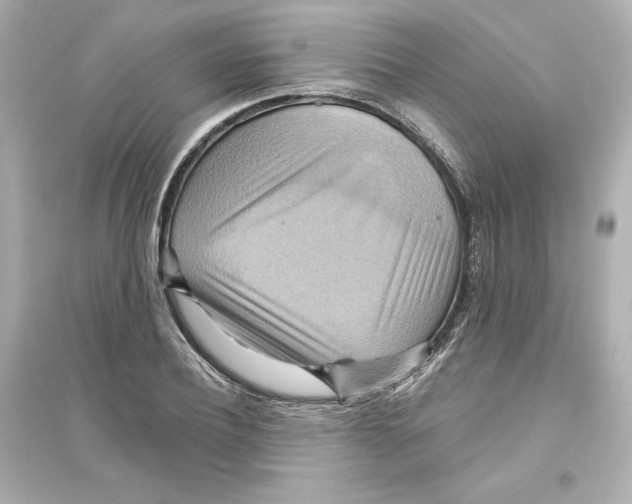 X0000093610932200711121208