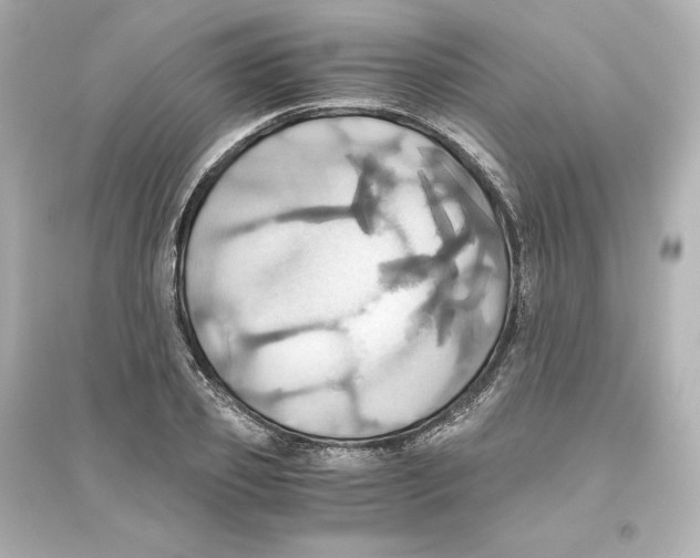 X0000093610933200711121208