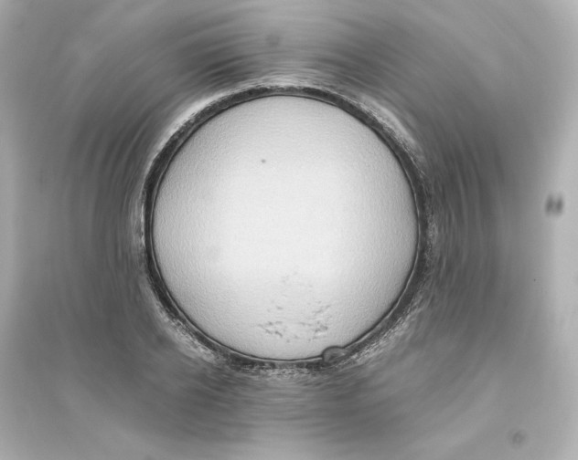X0000093610934200711121208