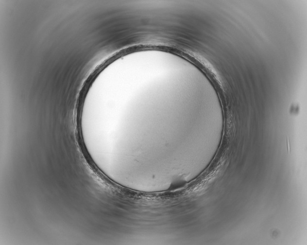 X0000093610935200711121209