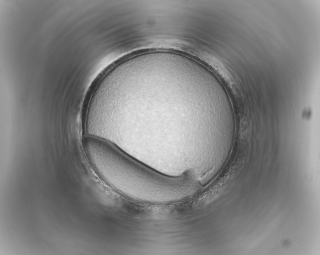 X0000093610936200711121209