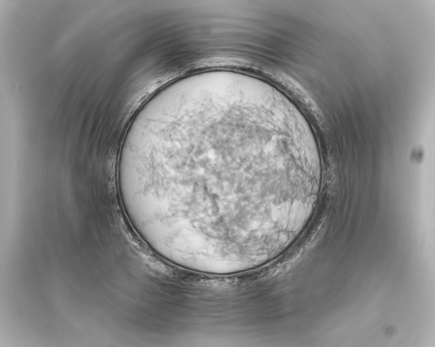 X0000093610937200711121209