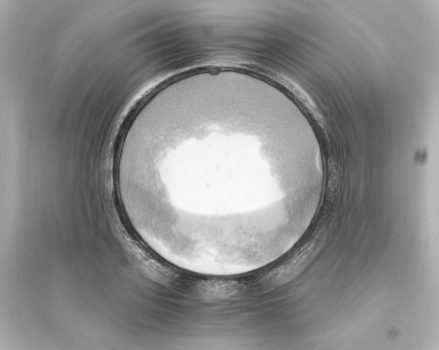 X0000093610939200711121209