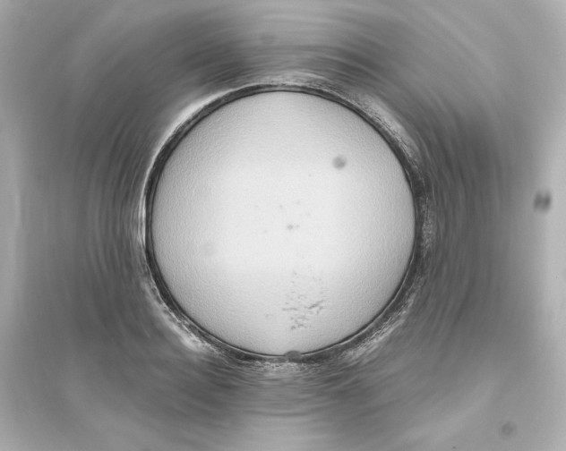 X0000093610940200711121209