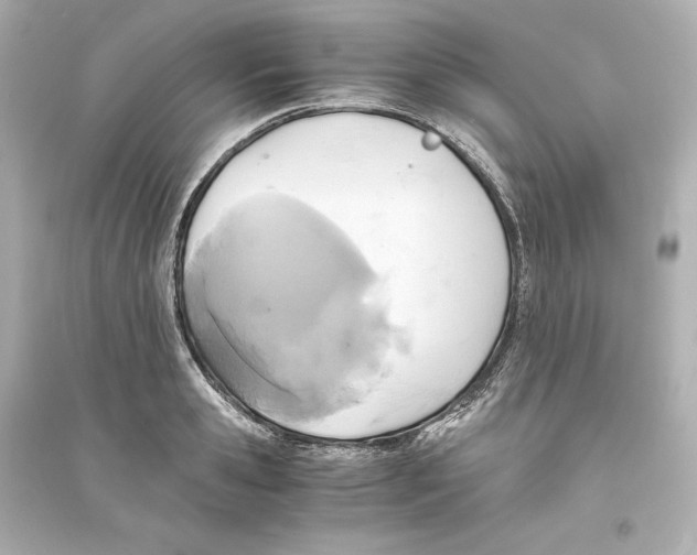 X0000093610941200711121209