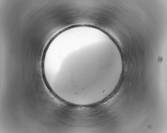 X0000093610943200711121209
