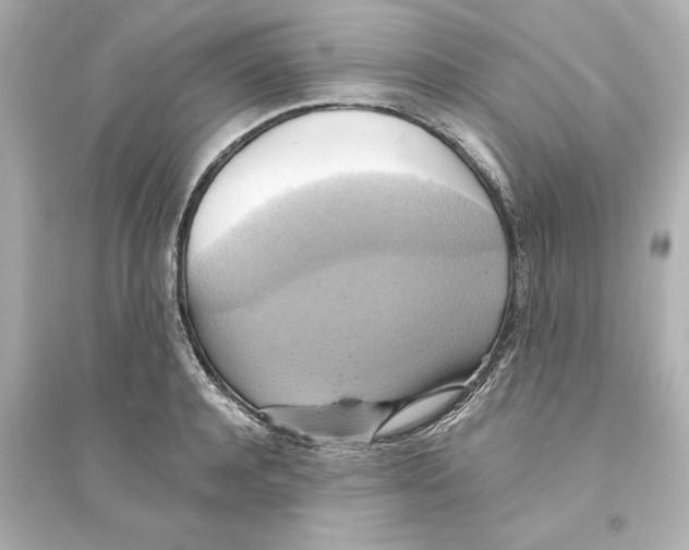 X0000093610944200711121209
