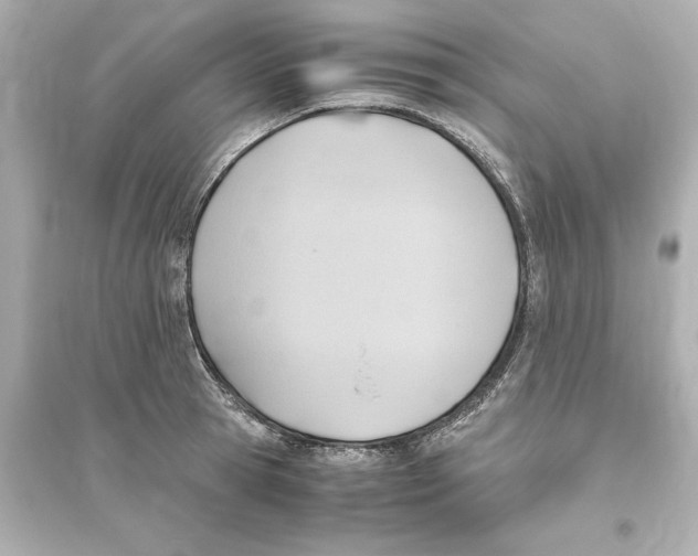 X0000093610945200711121209