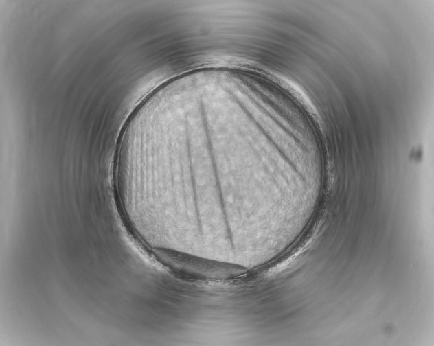 X0000093610946200711121209
