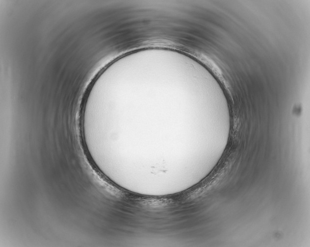 X0000093610947200711121209