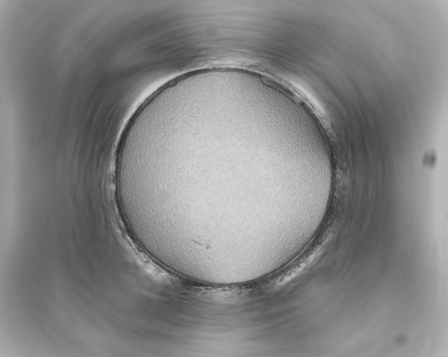 X0000093610948200711121209