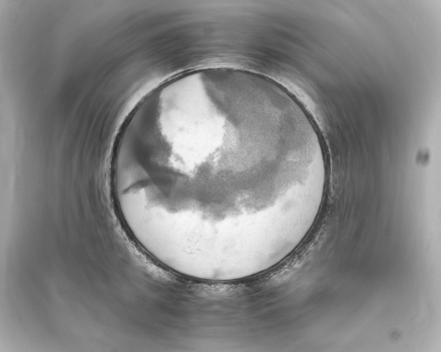 X0000093610949200711121209