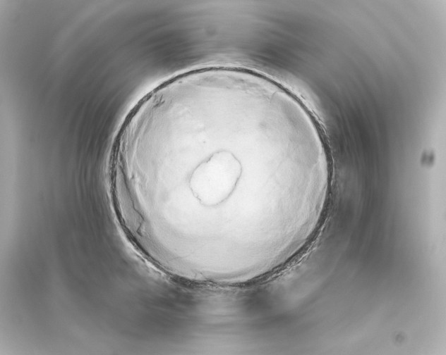X0000093610950200711121209