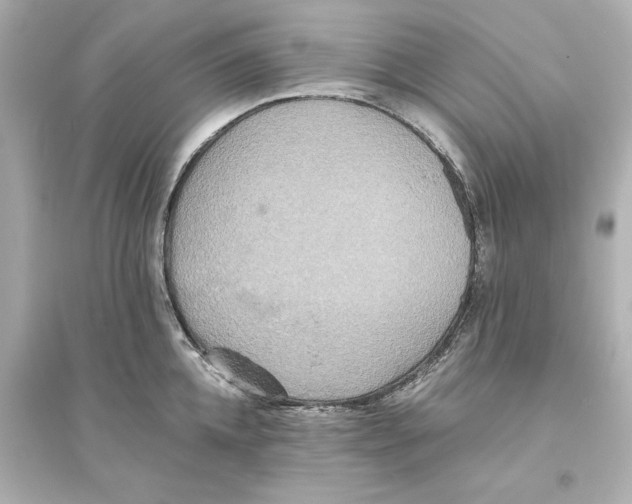 X0000093610952200711121209