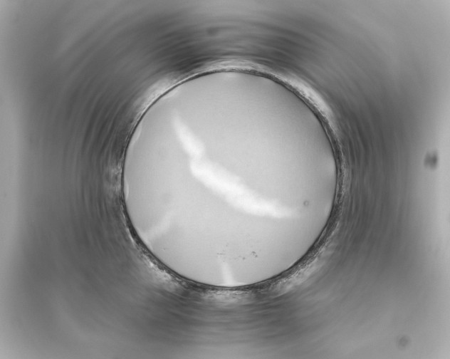 X0000093610953200711121209