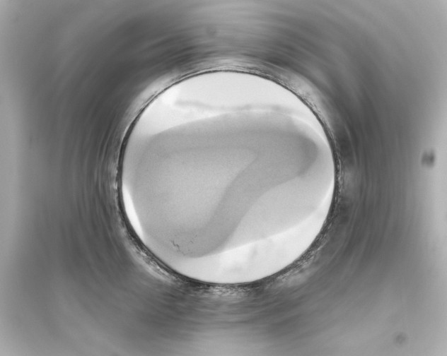 X0000093610954200711121209