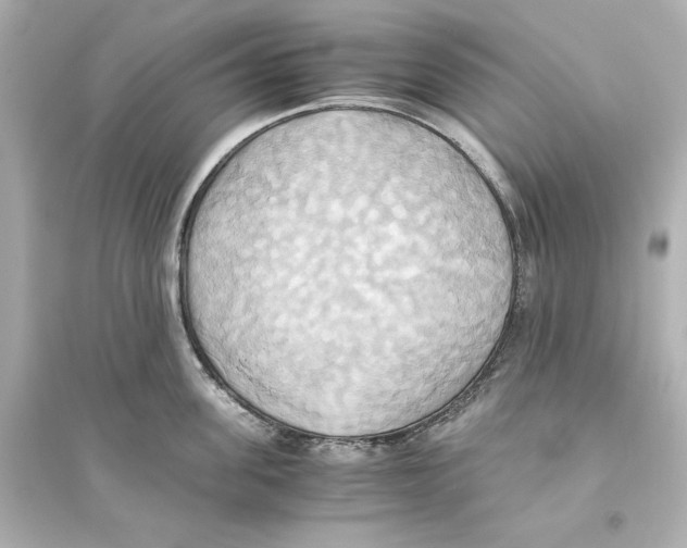 X0000093610955200711121209